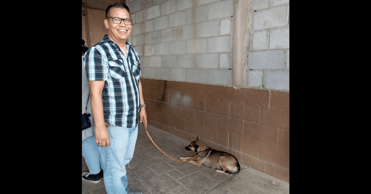 Guaymas consciente: ciudadanos llevan a esterilizar a perros de la calle