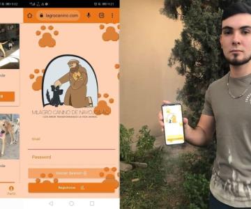Joven navojoense crea app para adoptar perros