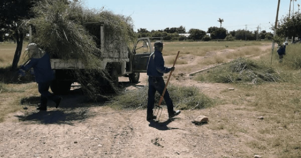 Avanzan en la limpieza de unidades deportivas de Navojoa