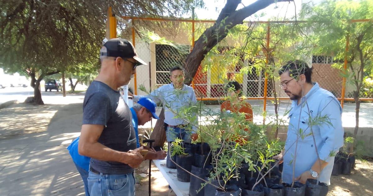 Realizan jornada de donación de árboles regionales en Hermosillo
