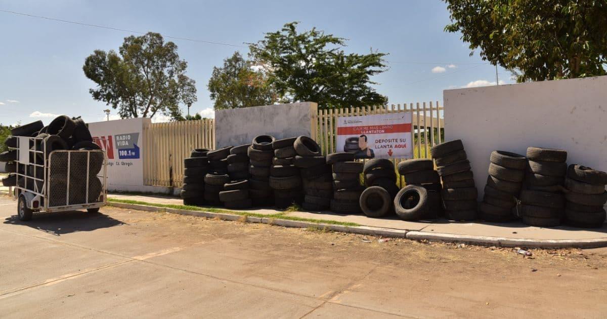 Realizan Llantatón para combatir el dengue en Cajeme