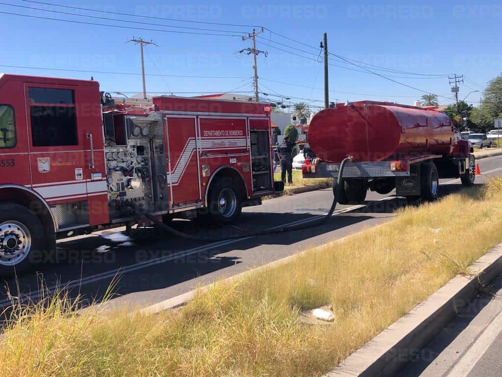 Galería | Explota negocio de comida en la colonia Residencial de Anza