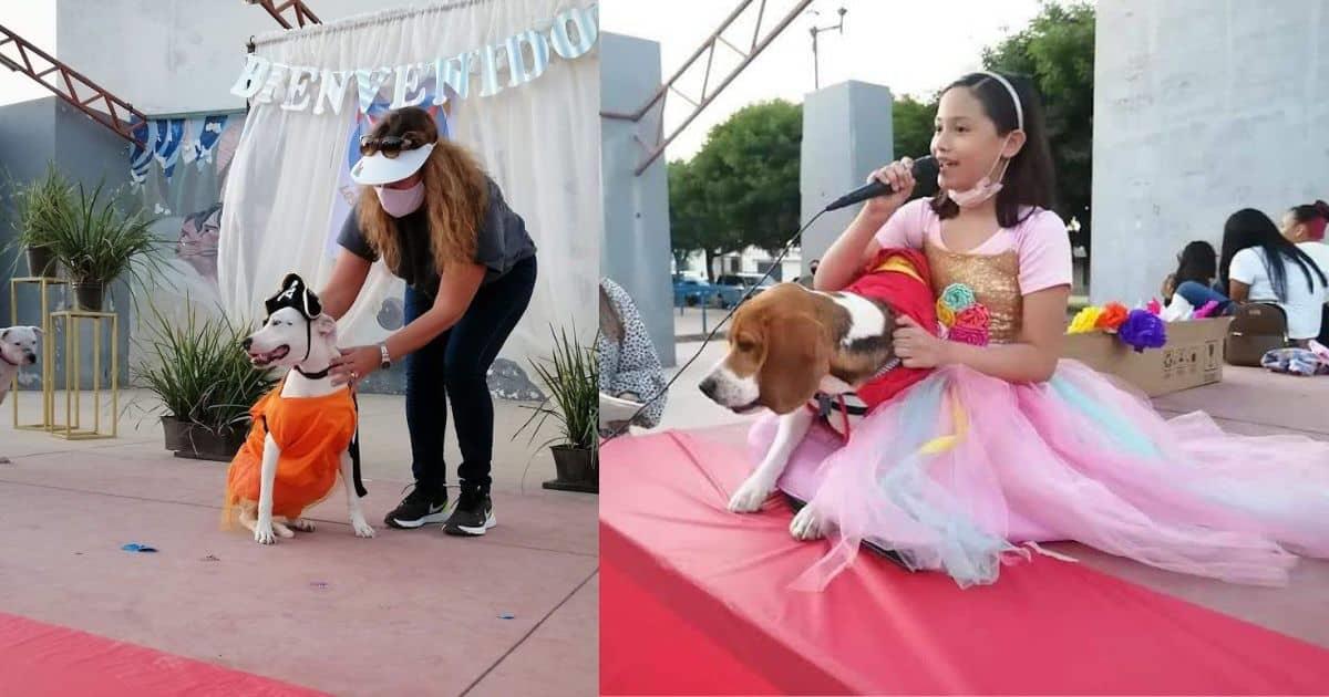 Invitan a concurso de disfraces para mascotas en Navojoa