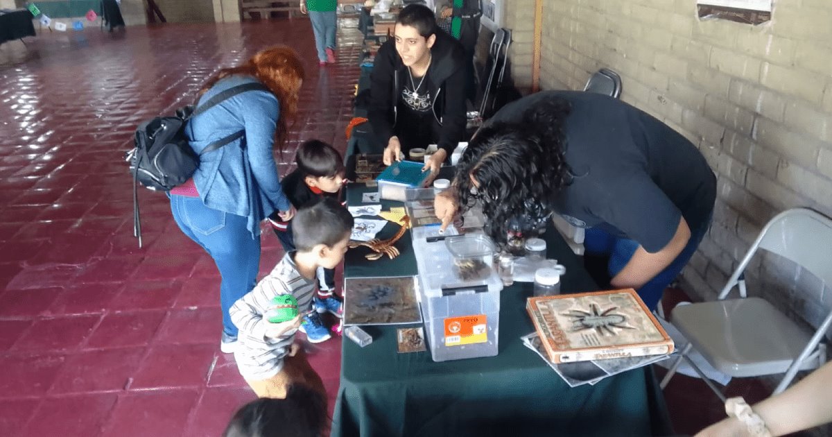 Festival de Insectos emociona a pequeños visitantes del Centro Ecológico