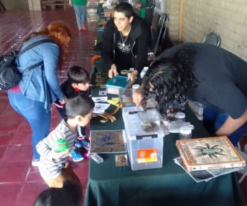 Festival de Insectos emociona a pequeños visitantes del Centro Ecológico