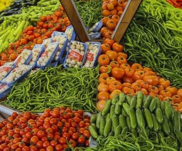 Exportación agrícola aumenta ingresos pese al bajo volumen
