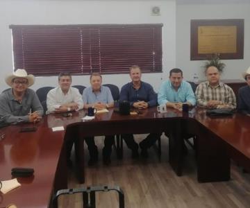 Productores agrícolas buscan apoyo para que no eliminen plaguicidas