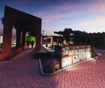 Proyecto Sahuaro gana Concurso Estatal de Diseño de la Plaza Pública