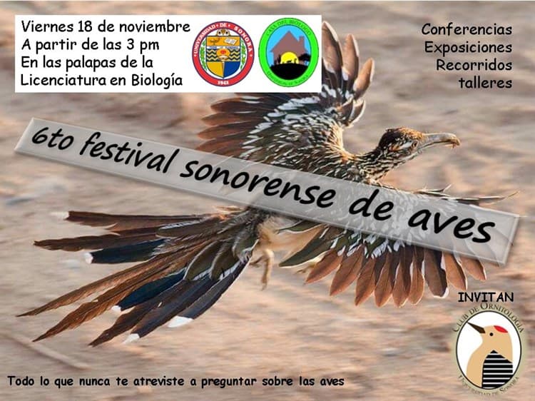 Invitan maestros y alumnos a sexto Festival Sonorense de las Aves