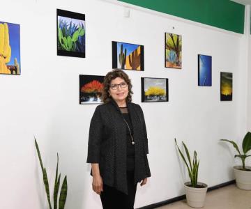 Exponen obra de la maestra Alma Rosas