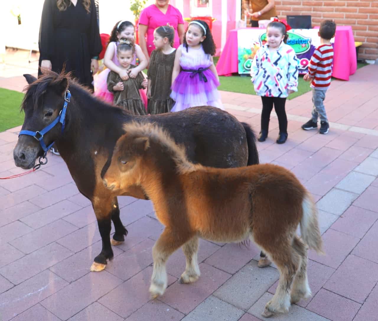 Luna y Livier cumplen años