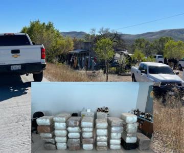 Realizan cuantioso aseguramiento de narcóticos en Nogales