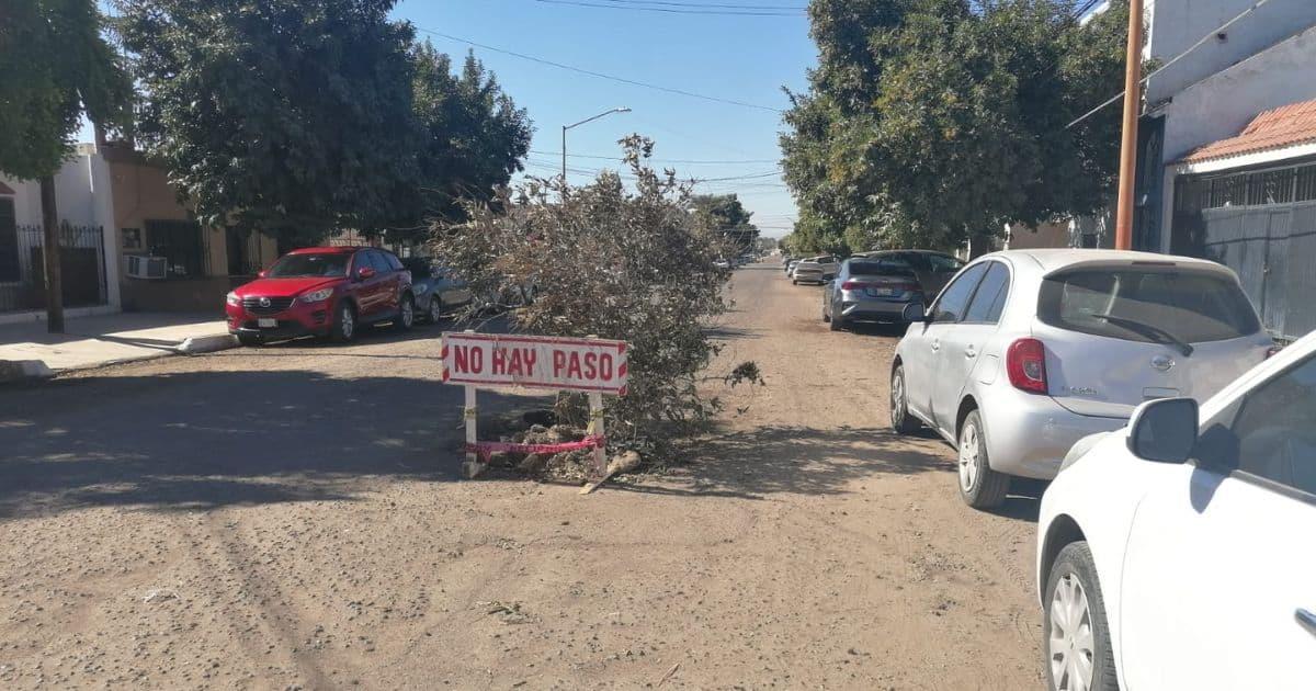 Vecinos de la Constitución sufren por obras inconclusas