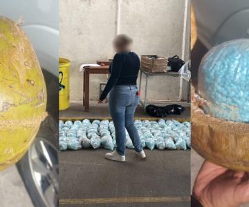 Encuentran 300 kilos de narcóticos al interior de cocos en Pitiquito