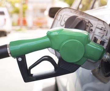 Reduce el subsidio para consumidores de gasolina Magna