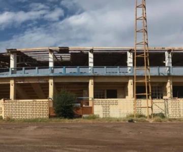 Contemplan remodelar o construir nuevo estadio de beisbol en Guaymas