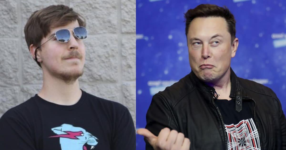 Youtuber pide a Elon Musk ser CEO de Twitter