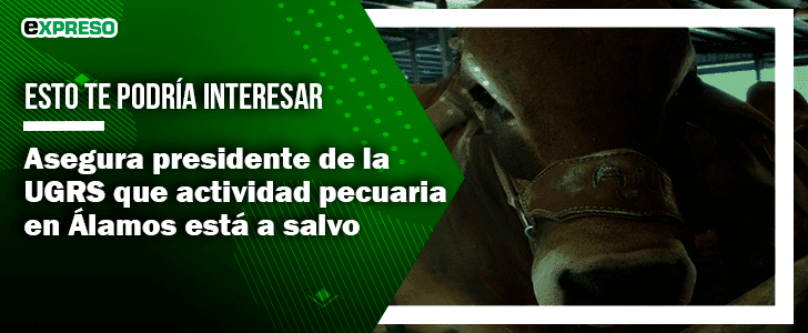 Perro ataca a menor de tres años y le desfigura el rostro