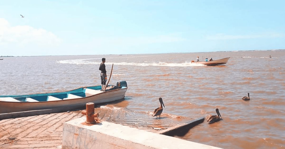 Tiburón acaba con la vida de un pescador en Benito Juárez
