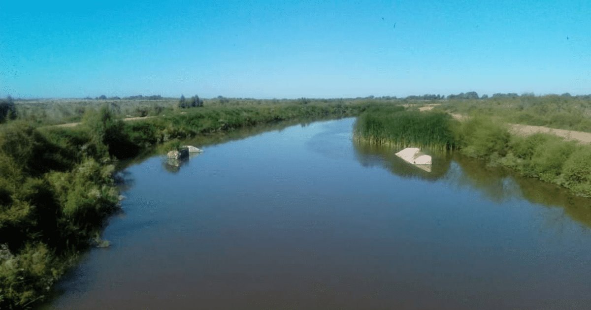 Indigna cacería de patos por parte de extranjeros a etnia mayo