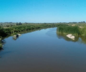 Indigna cacería de patos por parte de extranjeros a etnia mayo