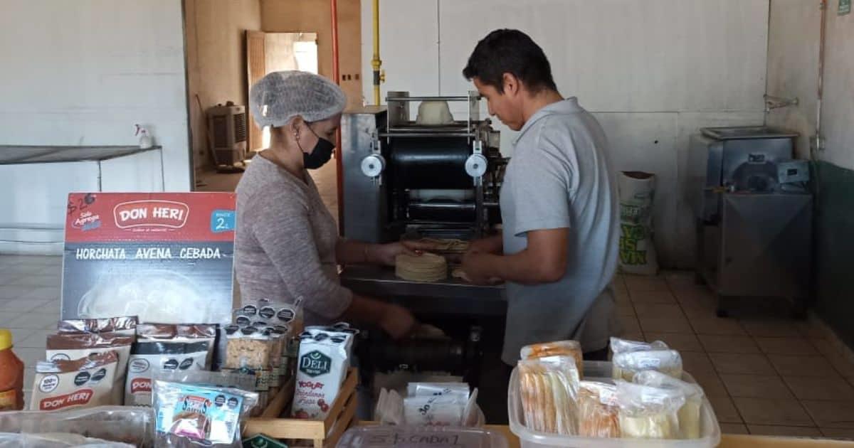 Tortilla de maíz por las nubes; 31 pesos el kilo en Hermosillo