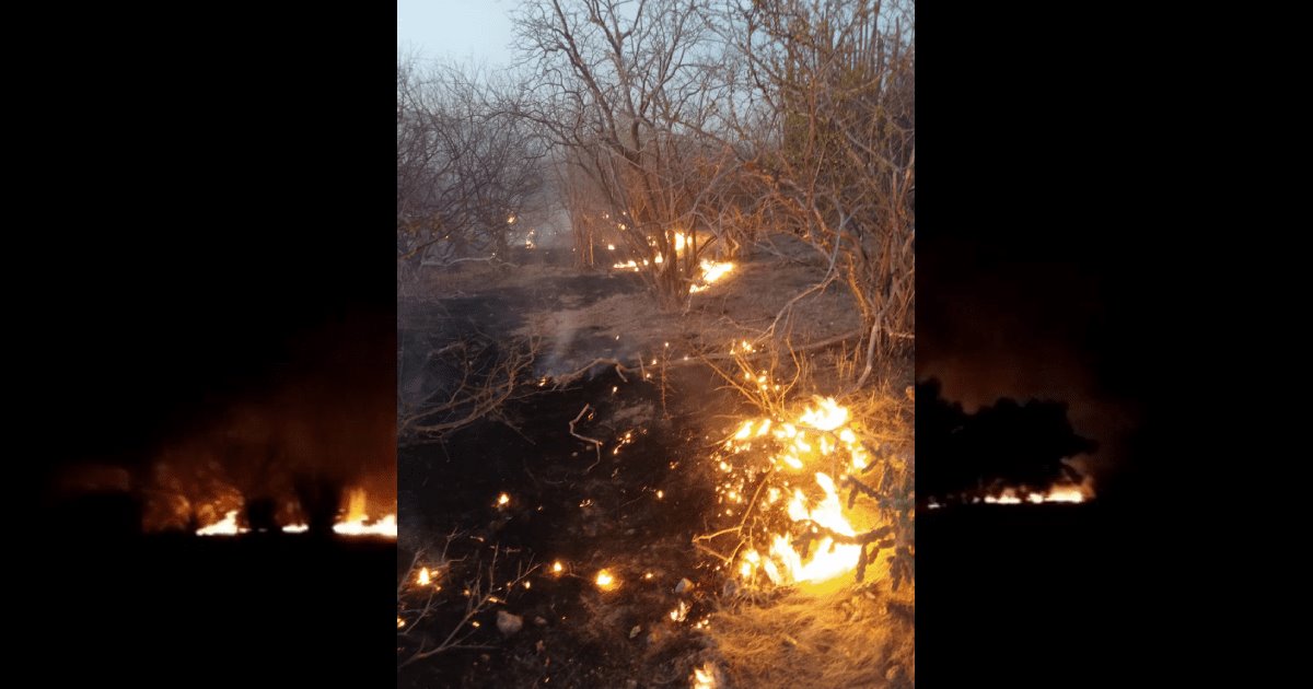 Incendio afecta cuatro ranchos en Ciudad Obregón