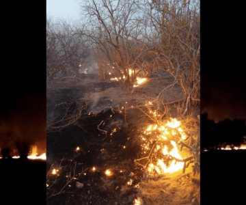 Incendio afecta cuatro ranchos en Ciudad Obregón
