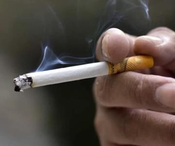Ley para el Control del Tabaco genera pérdidas del 25% en ventas