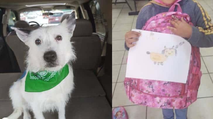 Fomentan cuidado animal con concurso de dibujo en primarias  en Nogales