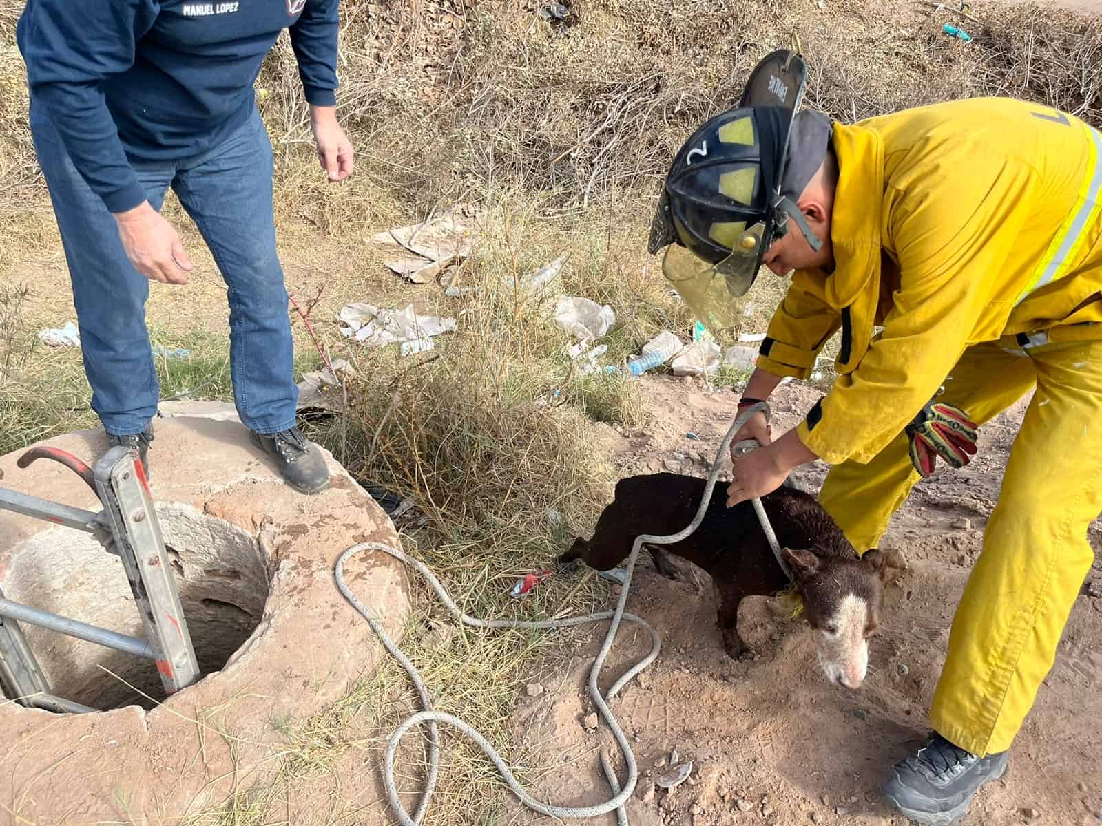 Rescatan perrita que cayó en alcantarilla de 5 metros de profundidad