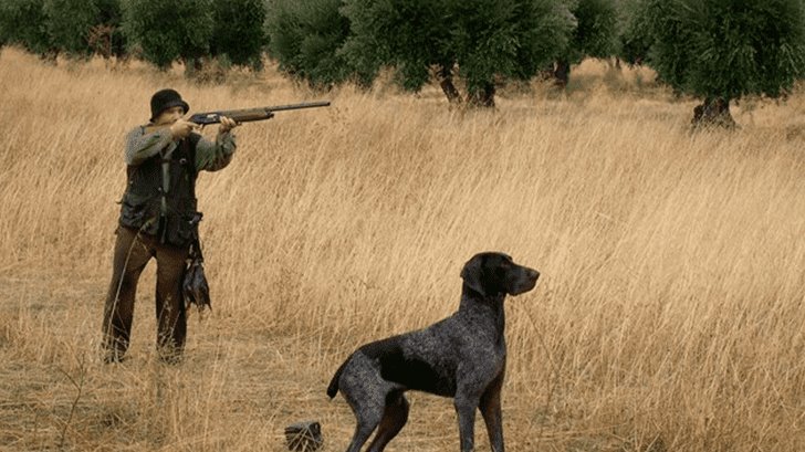 Perro mata de un tiro a cazador