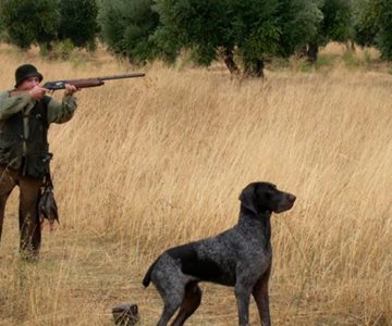 Perro mata de un tiro a cazador