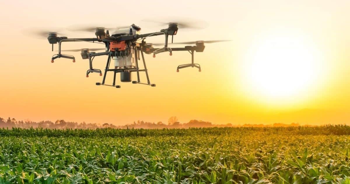 Aerofumigadores sienten riesgo por operación de drones agrícolas