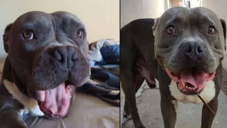 El Chato regresa con su familia tras dos meses desaparecido en Cajeme