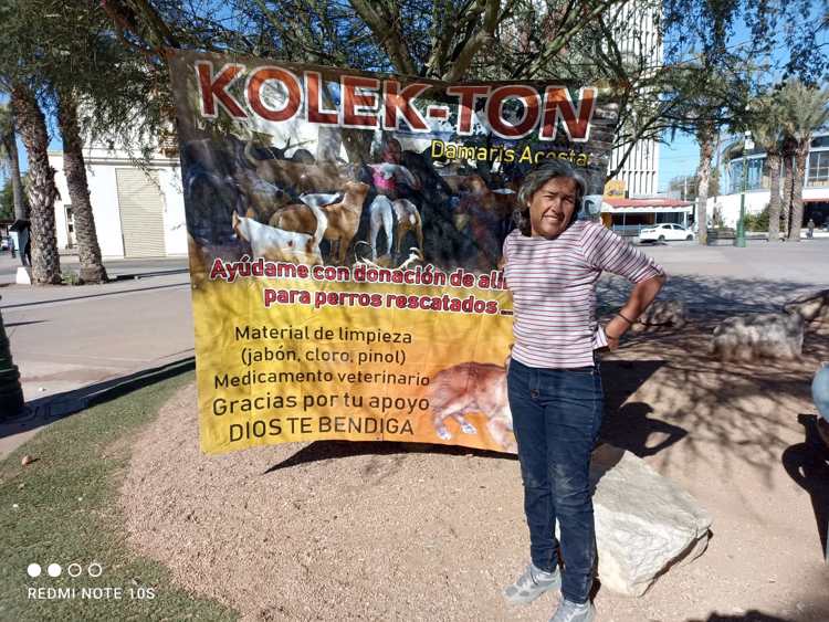 Kolekton recauda croquetas para 150 perros en el Molino de Camou