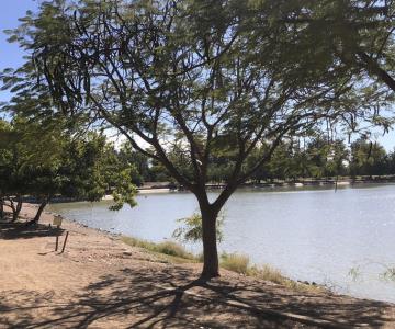 Autoridades de Obregón piden a ciudadanos cuidar la Laguna del Náinari