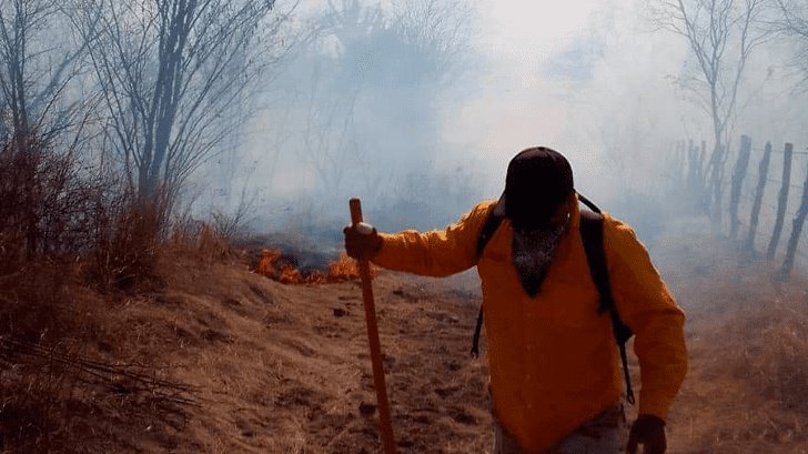El incendio forestal más grande de Álamos; consume más de 50 hectáreas