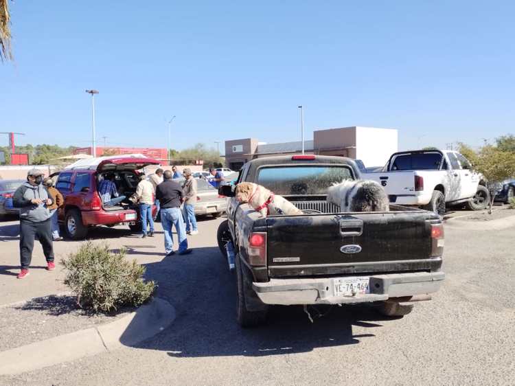 Avanza aplicación de vacunas antirrábicas al sur de Sonora