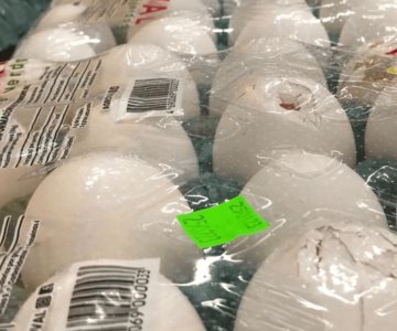 Descartan escasez de huevo en Sonora