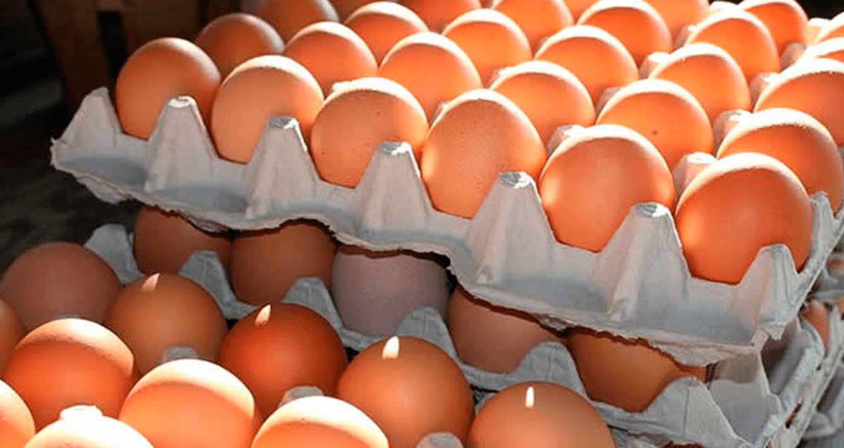 ¿Por qué el precio del huevo seguirá subiendo?