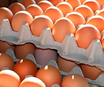 ¿Por qué el precio del huevo seguirá subiendo?