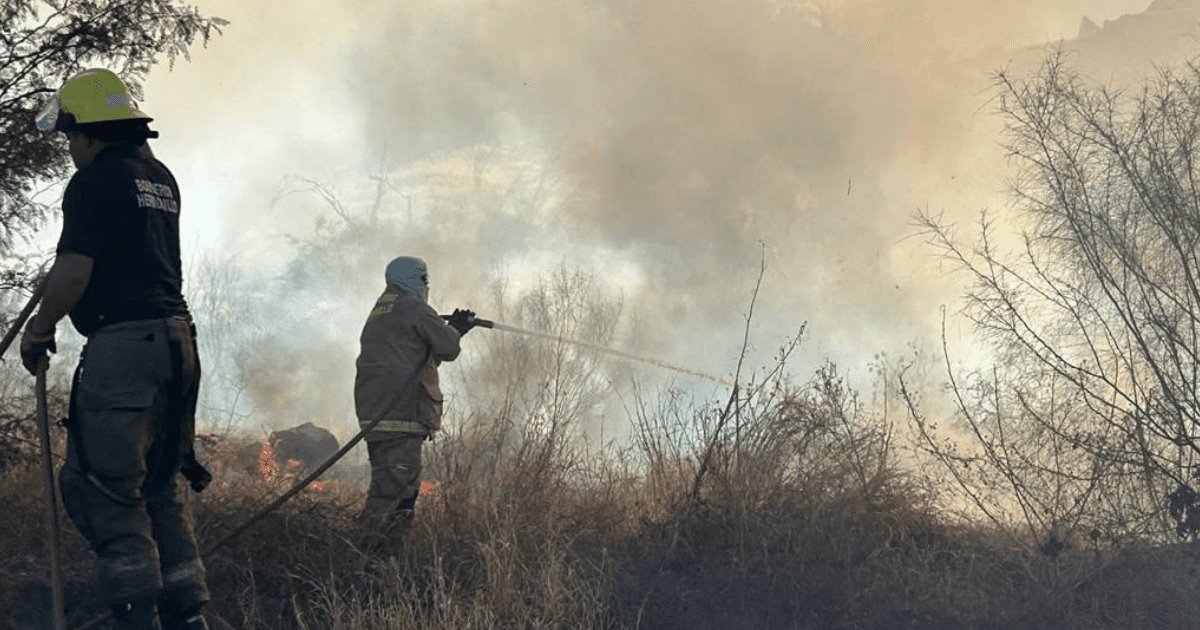 Se registra nuevo incendio en La Sauceda