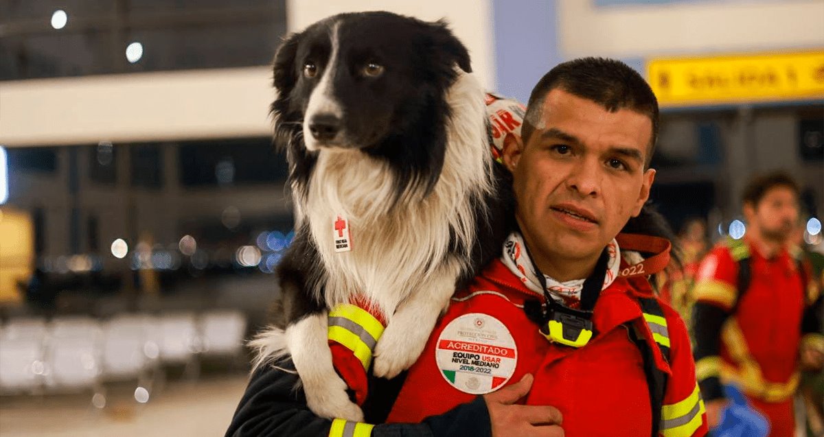 Brigada mexicana y perritos rescatistas apoyan en Turquía