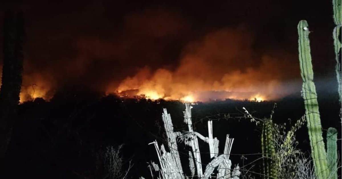 Piden ayuda por incendio forestal en municipio de Quiriego