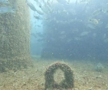 Proyectan nuevo arrecife artificial en aguas de San Carlos