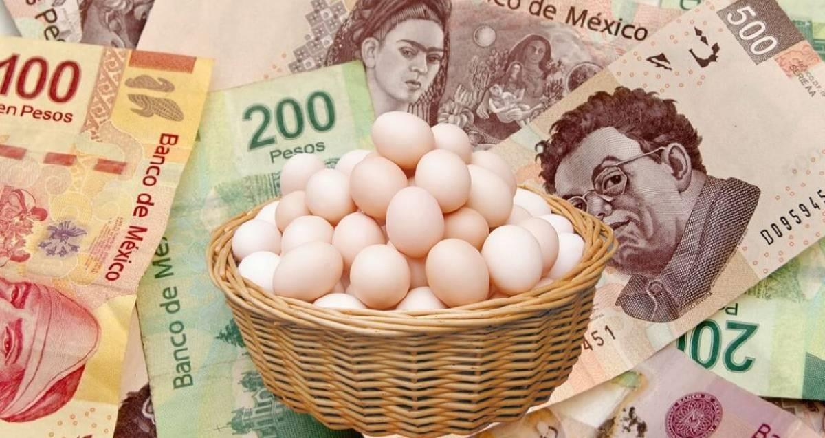 El precio del huevo se empieza a estabilizar: Sader