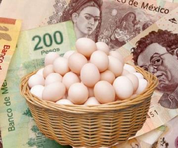 El precio del huevo se empieza a estabilizar: Sader