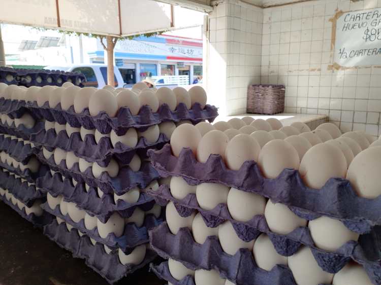 Pese a aumento de precio, en Navojoa no dejan de consumir huevo