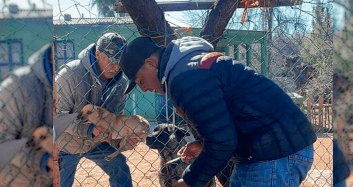 Sancionan a hombre por maltrato animal